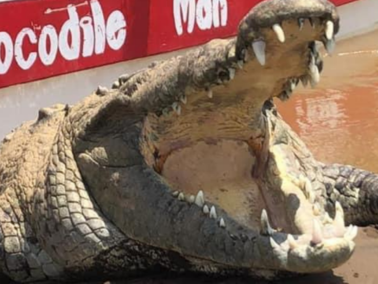 Crocodile safari - photo 11